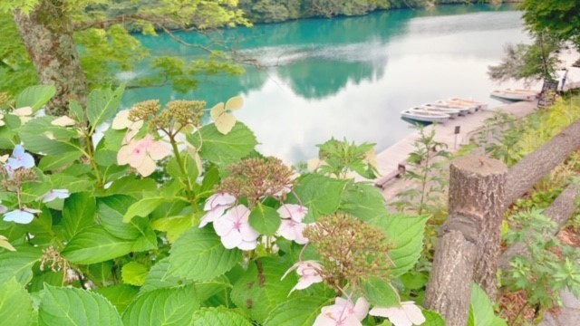 東日本三菱自動車販売株式会社 東京 神奈川 埼玉 茨城 山梨 長野 福島 栃木 新潟エリアの三菱ディーラー